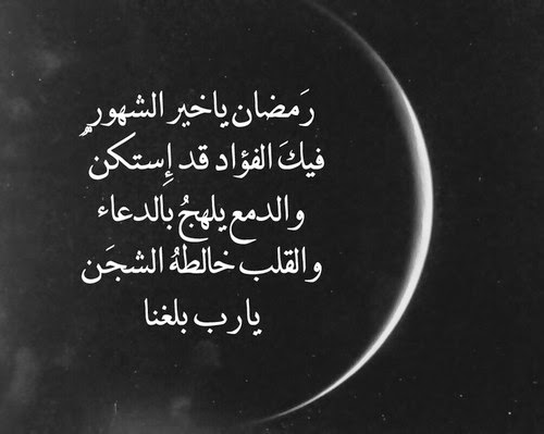 ..😍 bntpal_1434285512_46