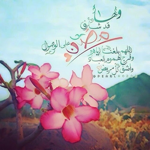 ..😍 bntpal_1434285516_59