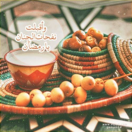 ..😍 bntpal_1434285522_25