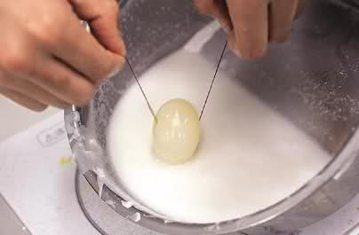 bntpal_1434371658_65
