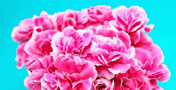 bntpal_1434439431_20