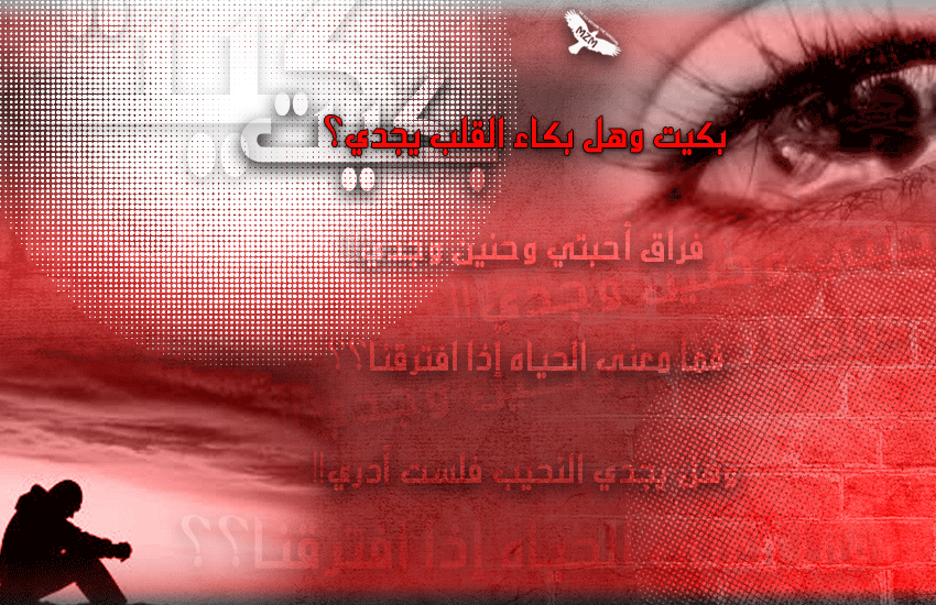 ( bntpal_1434457642_80