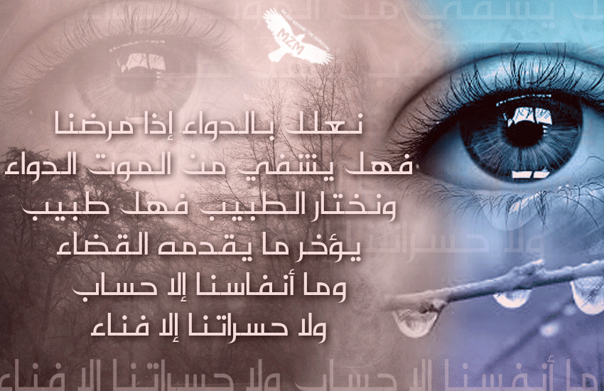 ( bntpal_1434457643_99
