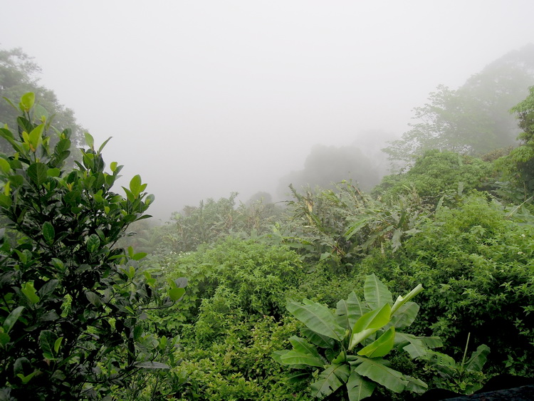  bntpal_1434468820_49