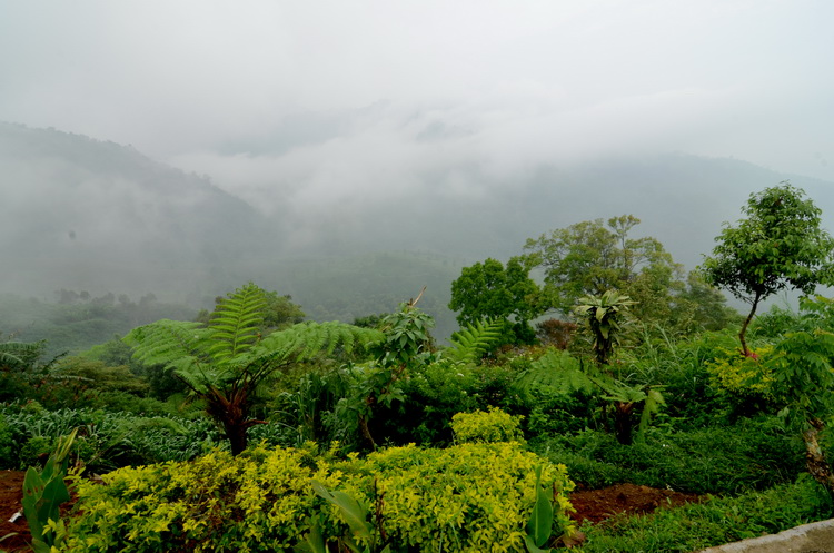  bntpal_1434468822_71