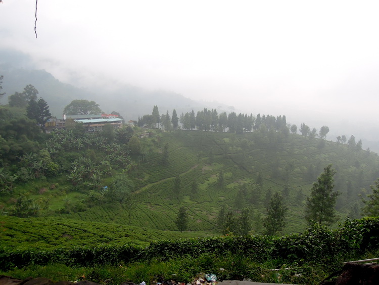  bntpal_1434468823_35