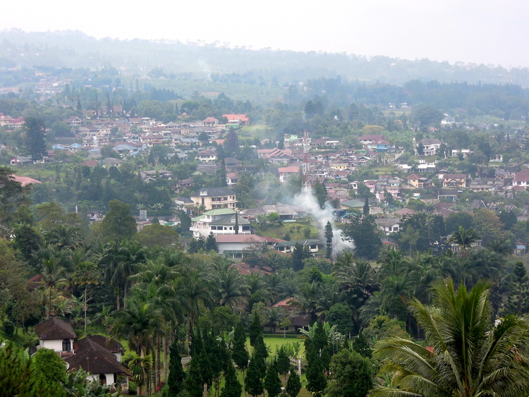  bntpal_1434468823_44