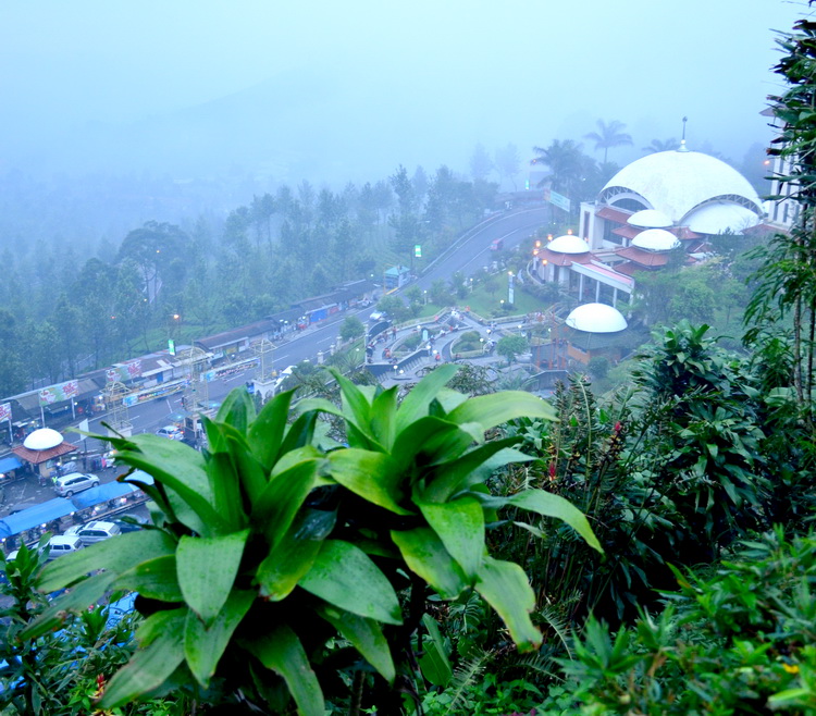  bntpal_1434468823_57