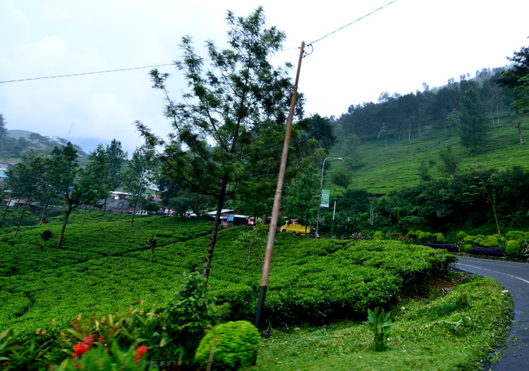  bntpal_1434468824_71