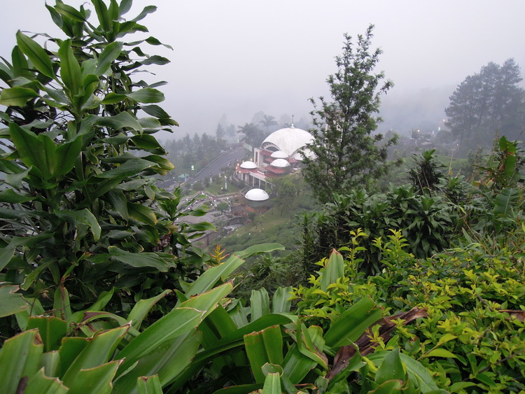  bntpal_1434468825_12