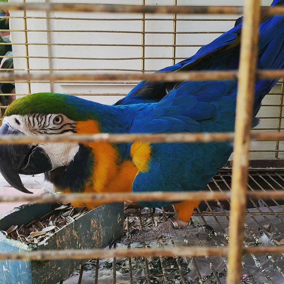  bntpal_1434572728_90