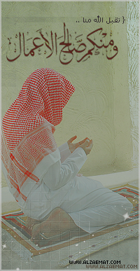   2015 bntpal_1434591555_19