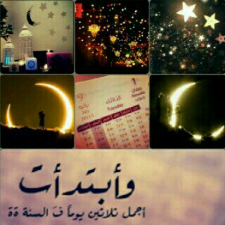 bntpal_1434624699_44
