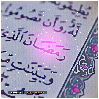 bntpal_1434624703_46
