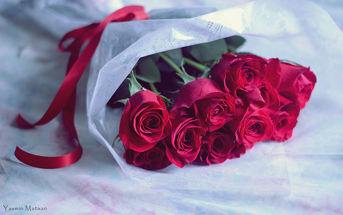 " bntpal_1434632507_15