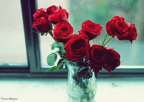 " bntpal_1434632507_39