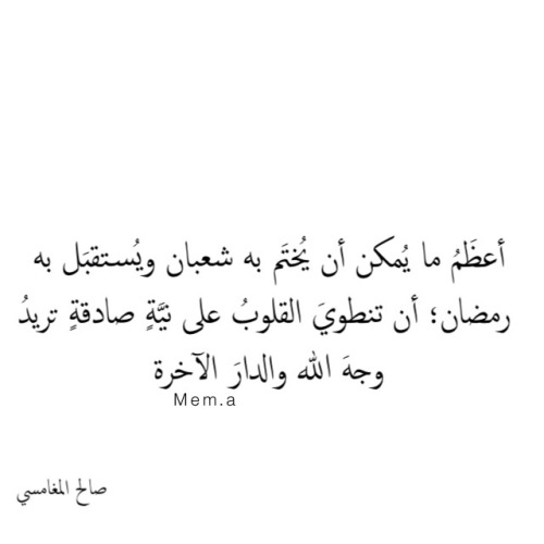 " bntpal_1434632511_87