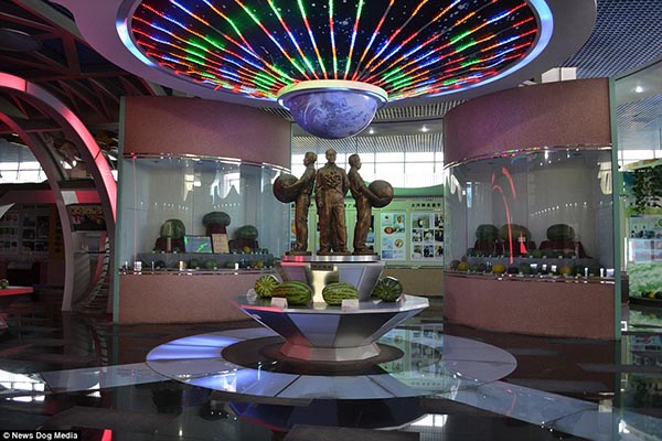 bntpal_1434632649_31