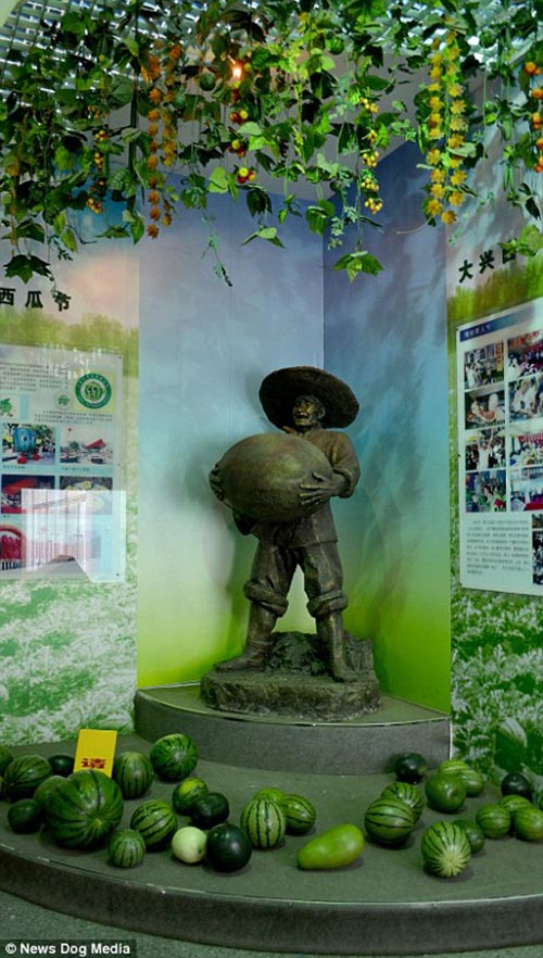 bntpal_1434632649_84