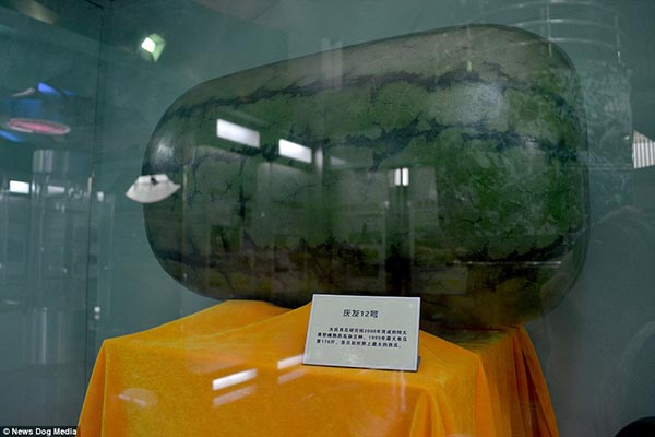 bntpal_1434632650_27