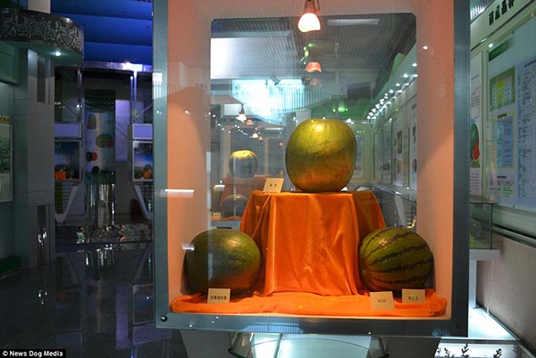 bntpal_1434632650_50