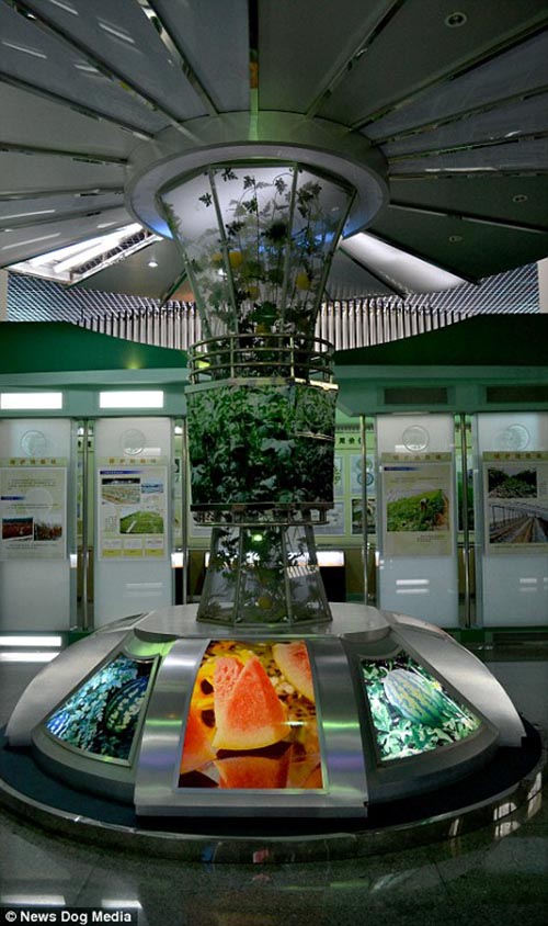 bntpal_1434632650_65