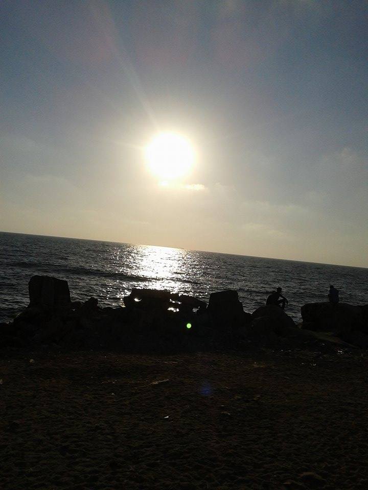  bntpal_1434701159_94
