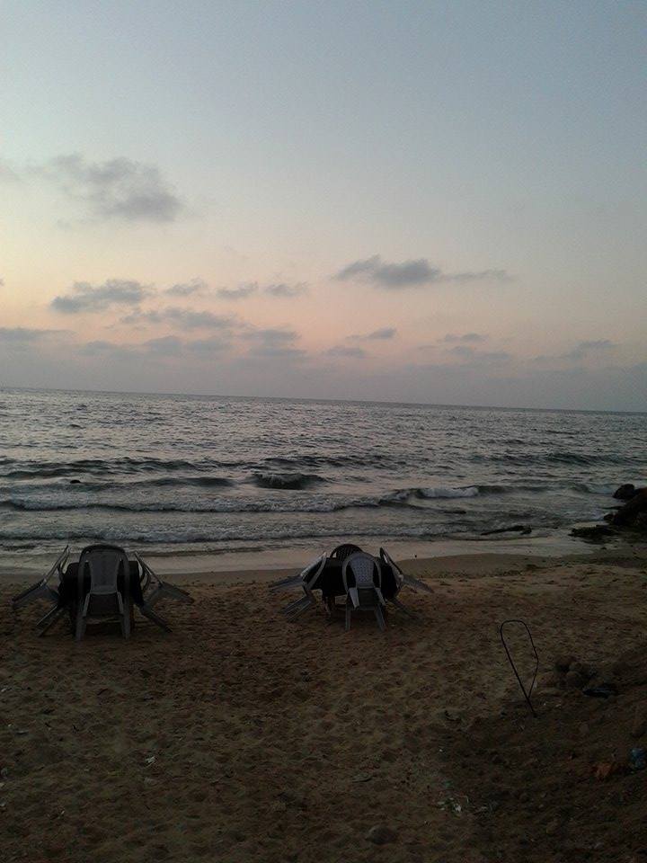  bntpal_1434701162_60