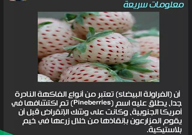 bntpal_1434718182_70