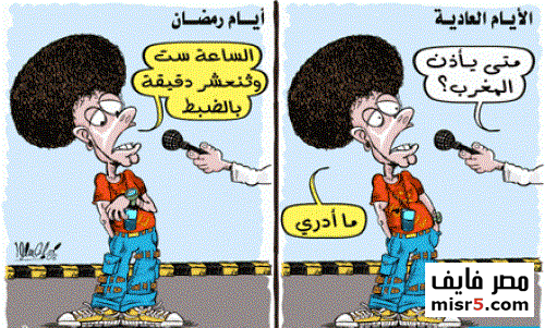   ( bntpal_1434731560_67