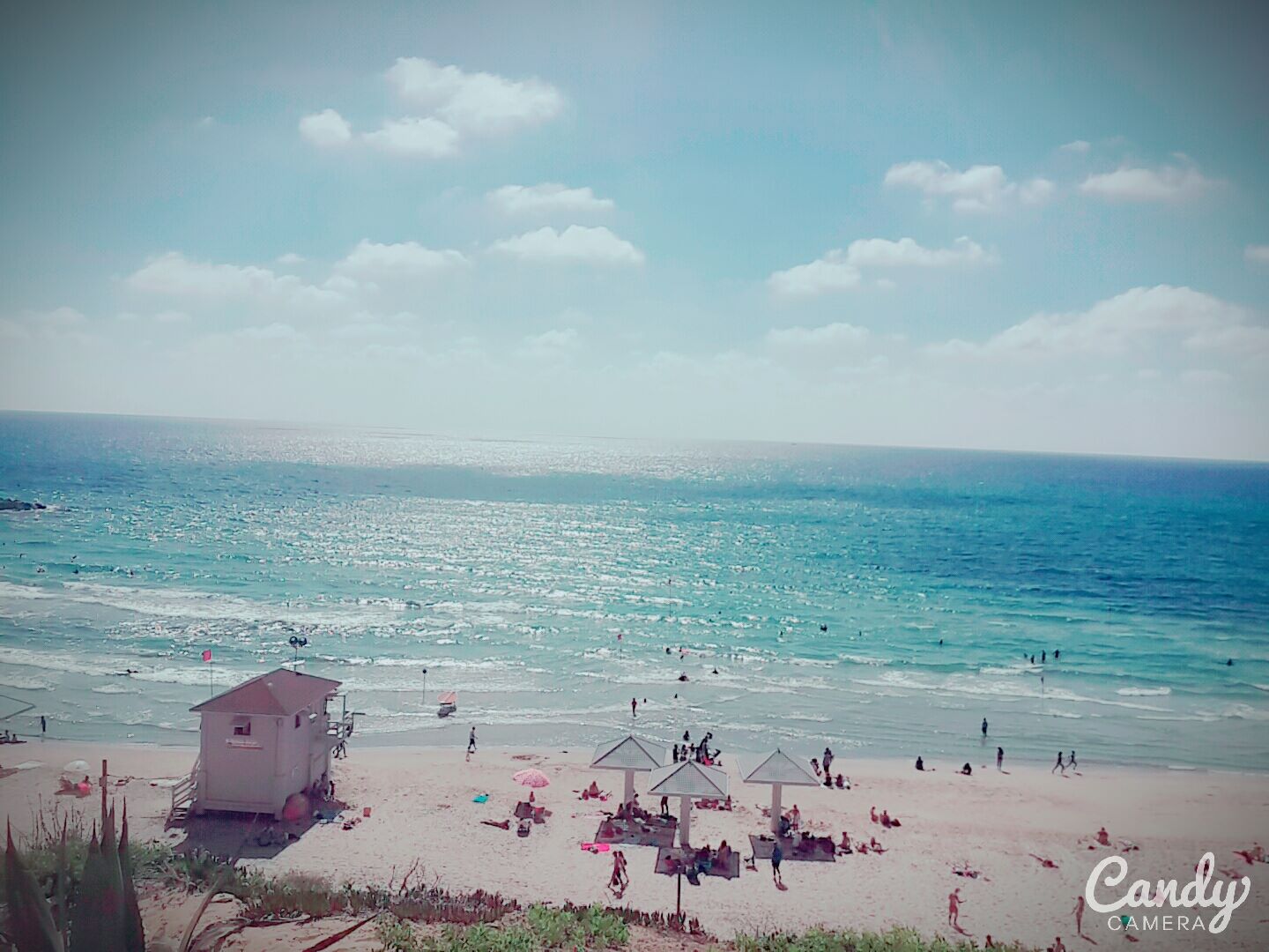  bntpal_1434732105_28