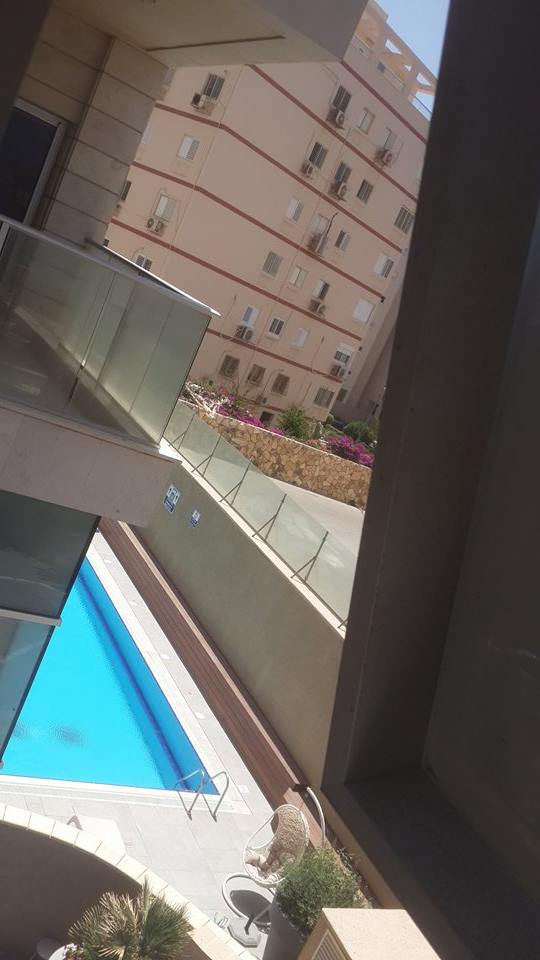  bntpal_1434732105_61