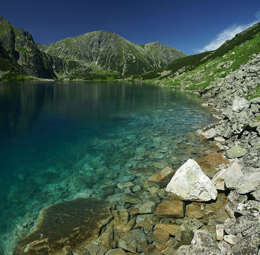  bntpal_1434815206_28