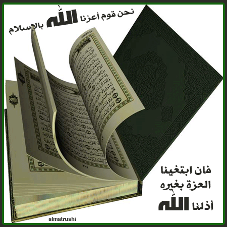 bntpal_1434818006_71