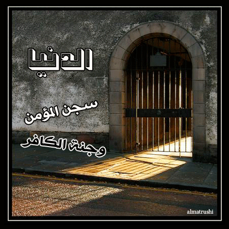 bntpal_1434818007_17