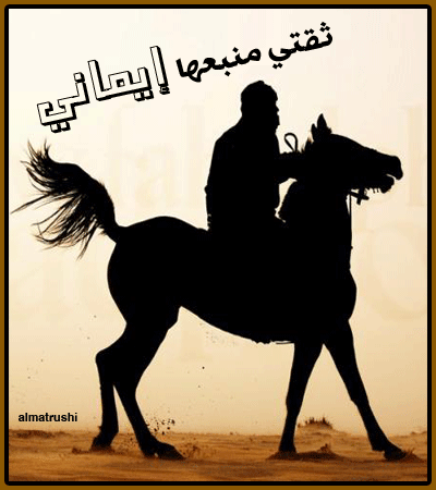 bntpal_1434818008_41