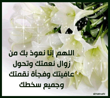 bntpal_1434818014_68