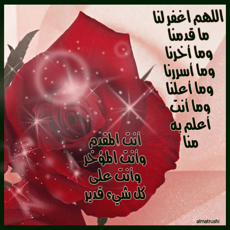 bntpal_1434818015_24