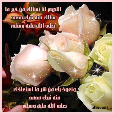 bntpal_1434818016_28