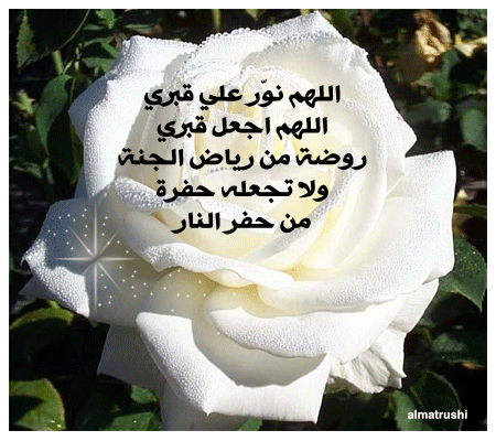 bntpal_1434818018_21