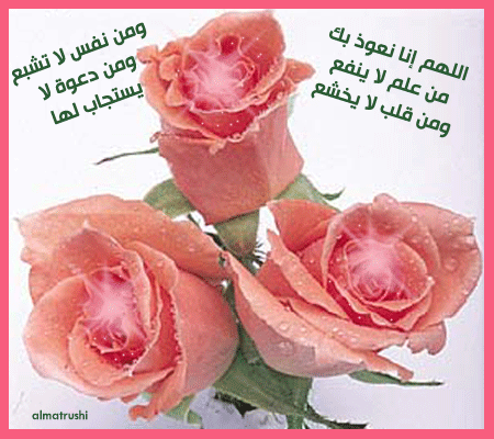 bntpal_1434818022_34