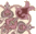   bntpal_1434967155_21