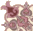   bntpal_1434967155_65