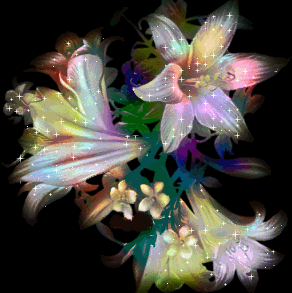........ bntpal_1435102530_61
