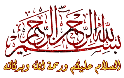 bntpal_1435158555_29