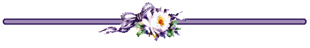   bntpal_1435182499_33