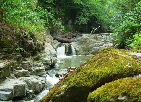   bntpal_1435182501_98
