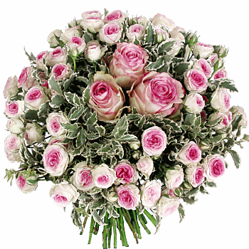 bntpal_1435183299_74