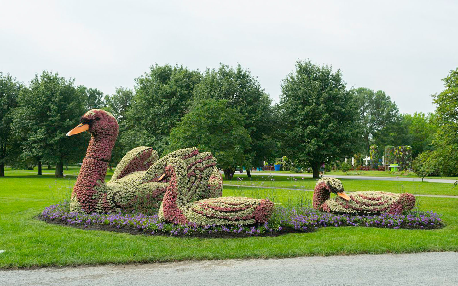  bntpal_1435266035_20