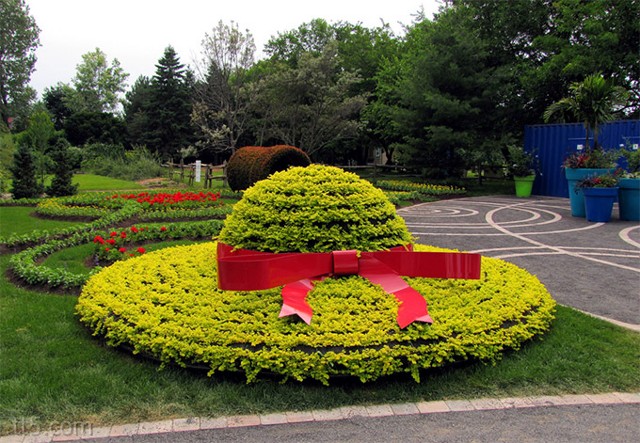  bntpal_1435266037_79
